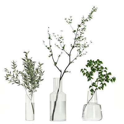 水生植物